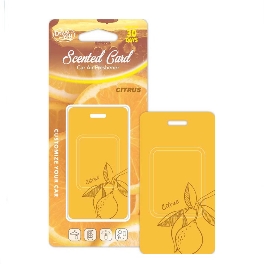Manufacturer Direct Sales Hanging Plastic Scent Card Absorbent Eva Air Freshener For Car