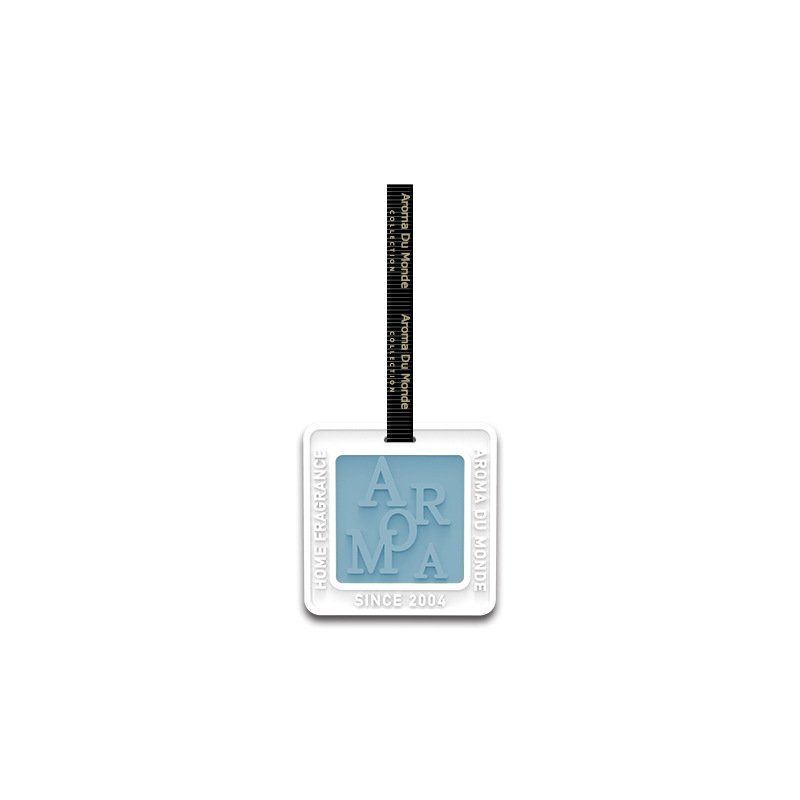 New Home Car Wardrobe Air Freshener Hanging Scented plaster car Diffuser
