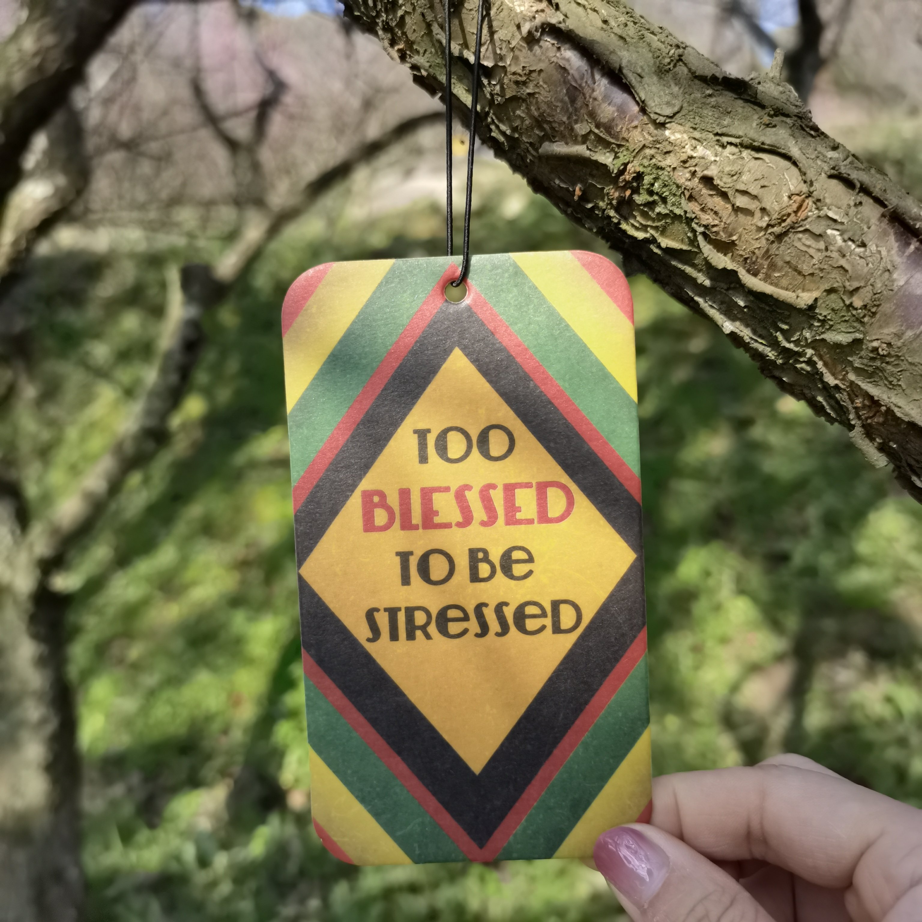 Customized Hanging Car Perfume Papers Car Interior Decoration Air Freshener Auto Car Ornaments