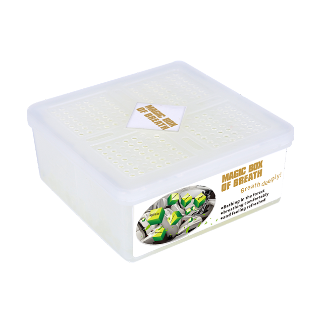 Best Selling 500g Auto Car Care Product Used for Cleaning Freshening Car Air Top Selling Car Air Freshener Accessory Chemicals