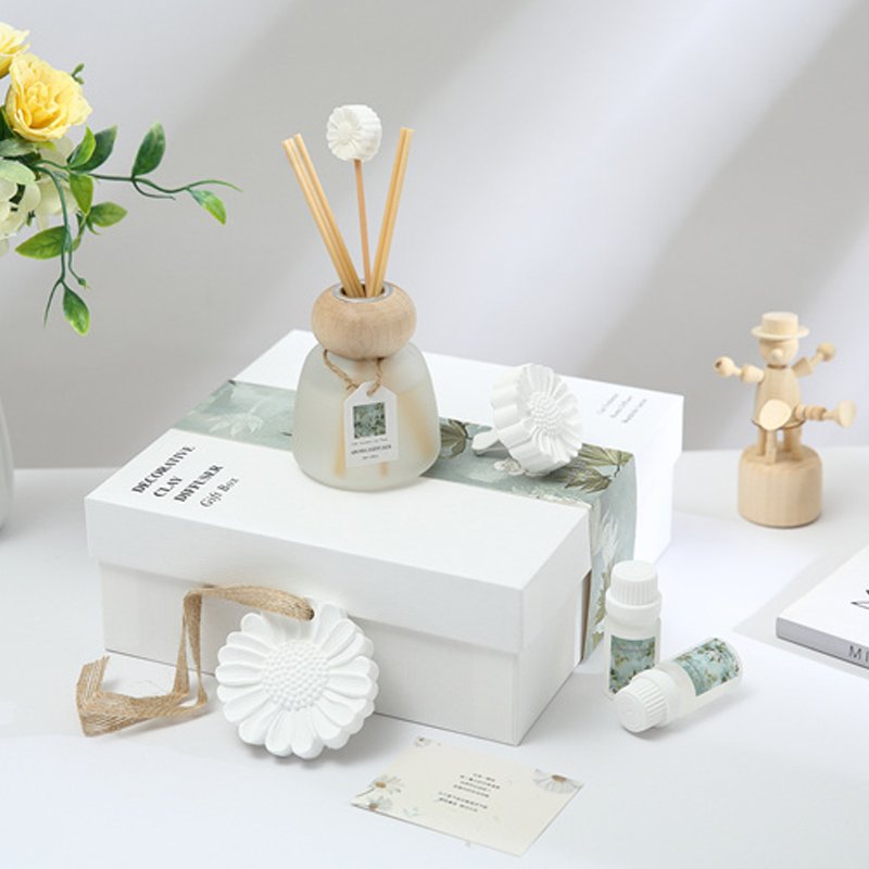 Raymeel reed diffuser set gift ceramic diffuser set