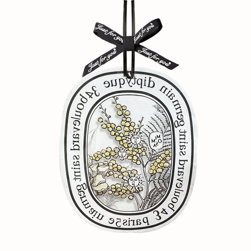 car gadgetsPersonalized Fragrant Fresh Scent in Different Home Hanging Air Fragrance Product car air freshener diffuser