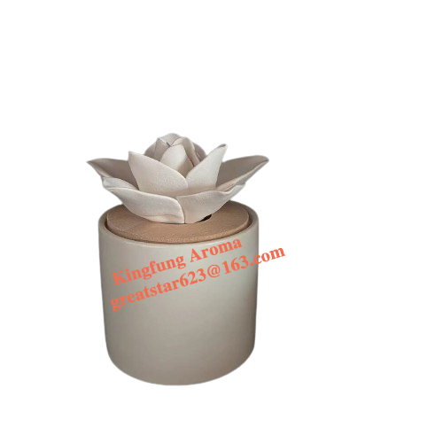Hot Sell Ceramic Luxury Box Packing Scent Ceramic Flower Diffuser Stone Aroma Diffuser Air Freshener