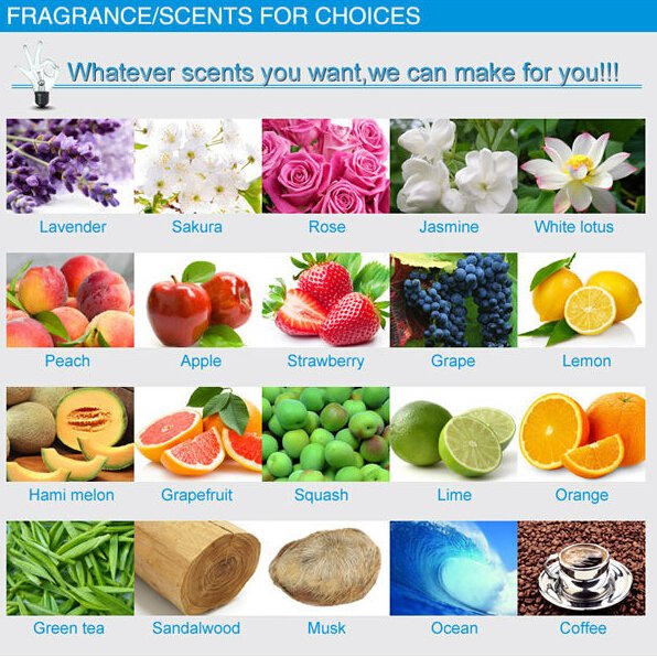 OEM/ODM 450ml room car scented fragrance perfume deodorant spray gas air freshener