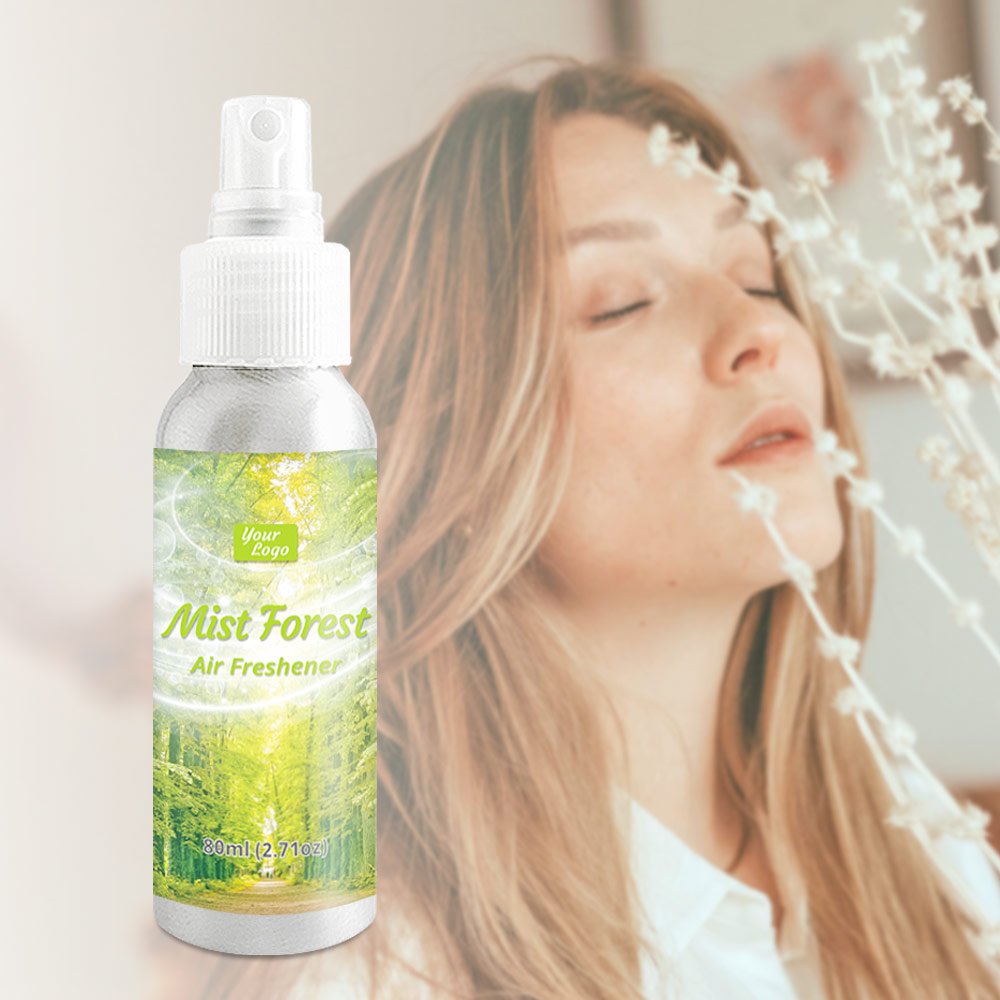 2024 Smoke Odor Eliminator Spray | Car Air Freshener for Effective Odor Removal