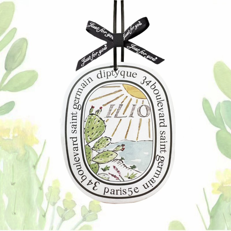Modern Portable Car Air Fresheners Bulk Hanging Freshener Variety Orange Lily Lavender Cotton Paper Office