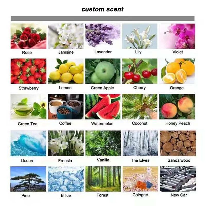 High Quality Strong Scent Custom Logo Fragrance Hanging Paper Customized Die Cut Trees Shape car Air fresheners With Logo