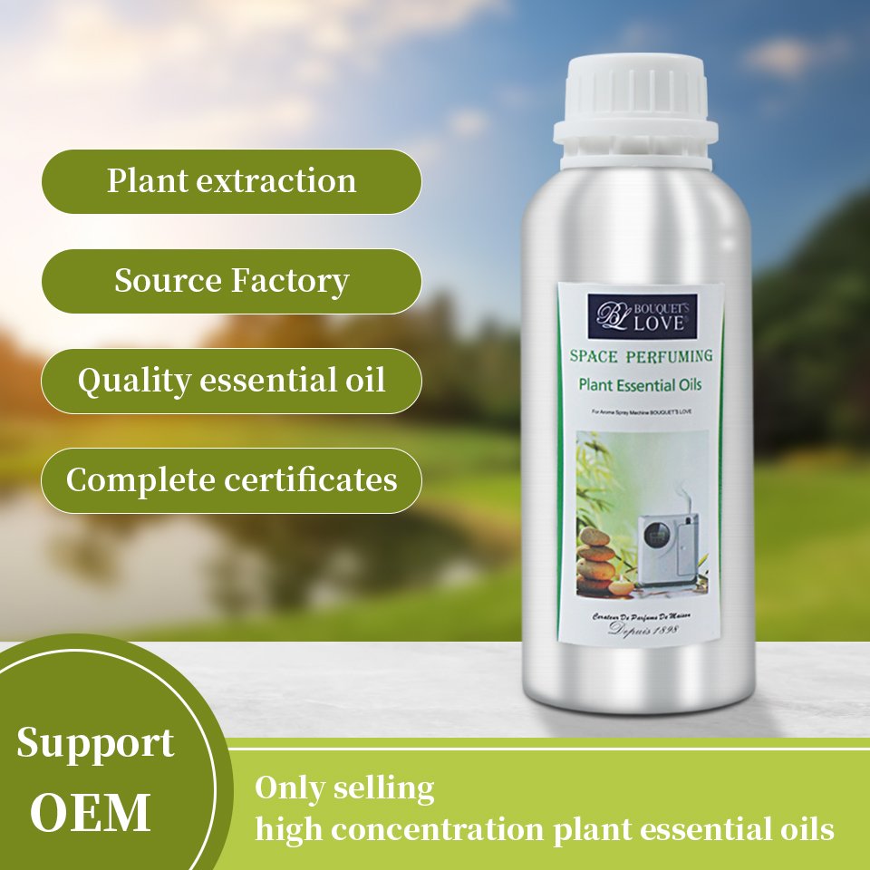 250ML Cheap Hotel Aromatherapy Diffuser Essential Oil Ultrasonic Essential Oil Refill