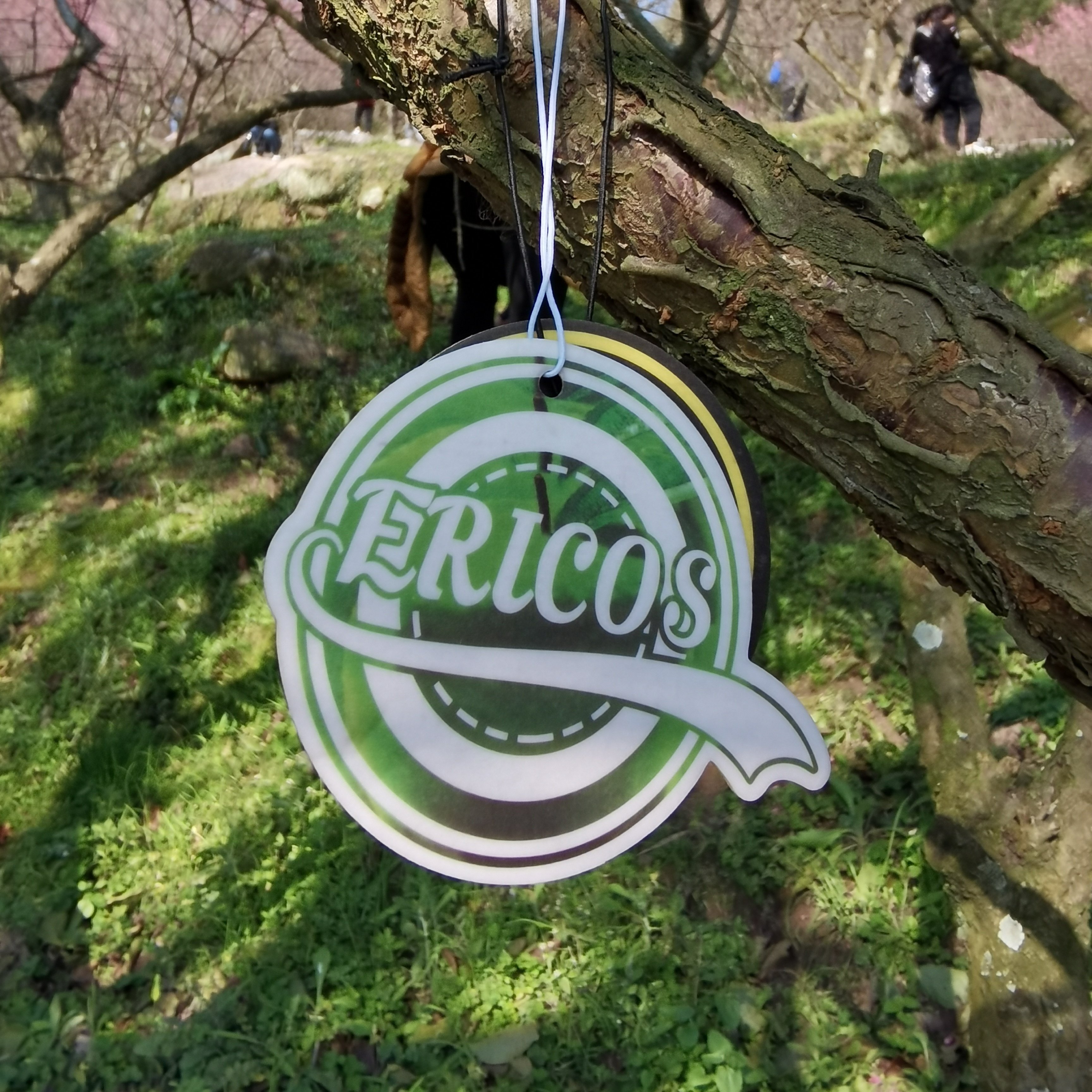 Custom Design Logo Paper Hanging Car Air Freshener With Long Lasting