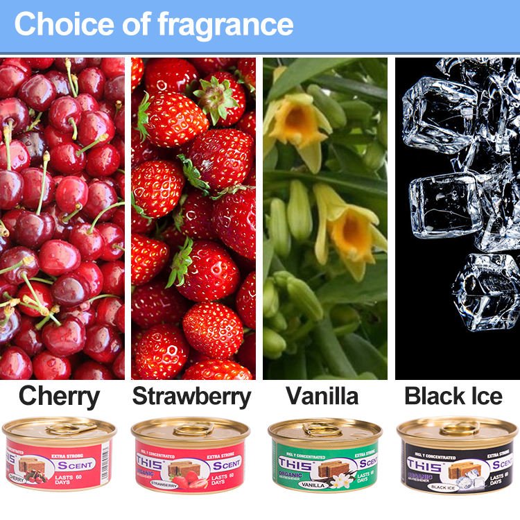 can non toxic fragrance perfume room house wood bathroom car natural deodorizer scents organic air freshener