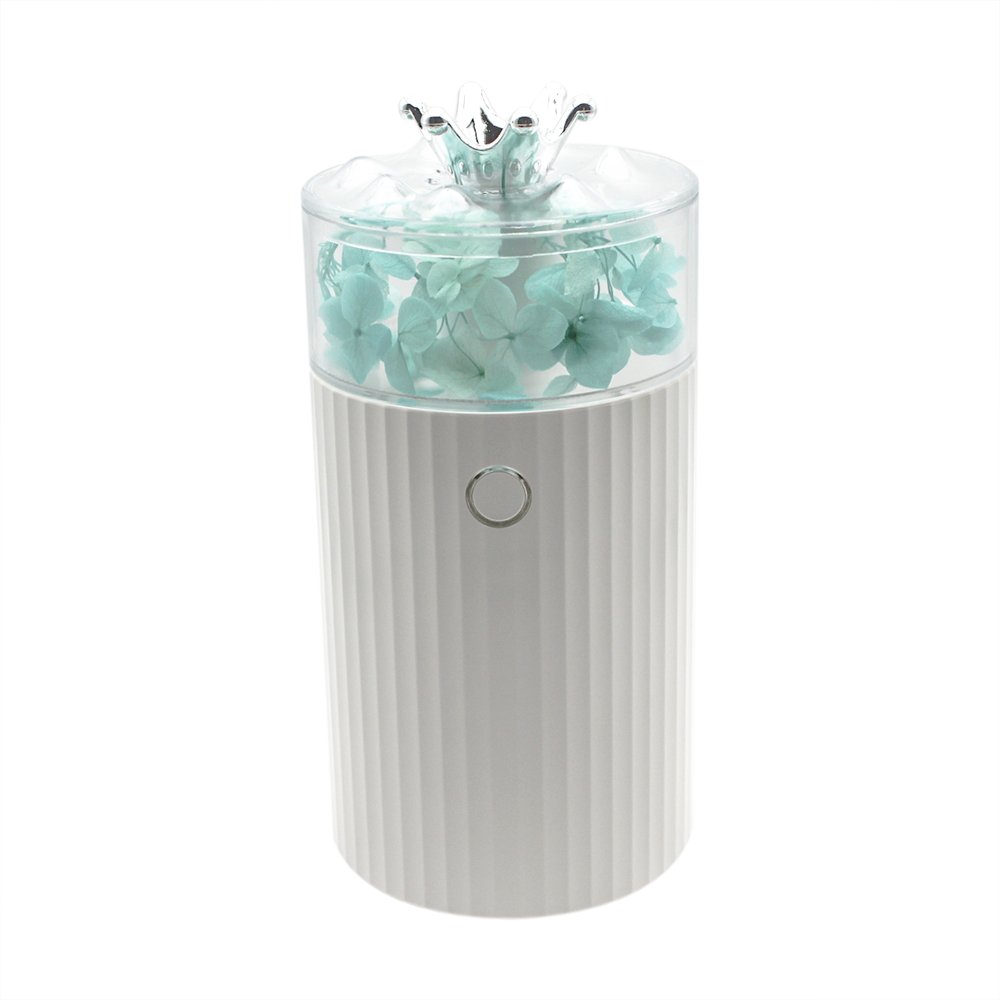 240 ML Car Home Diffuser With Water Mist Car Air Freshener Breathing Mist Car Fragrance Diffuser