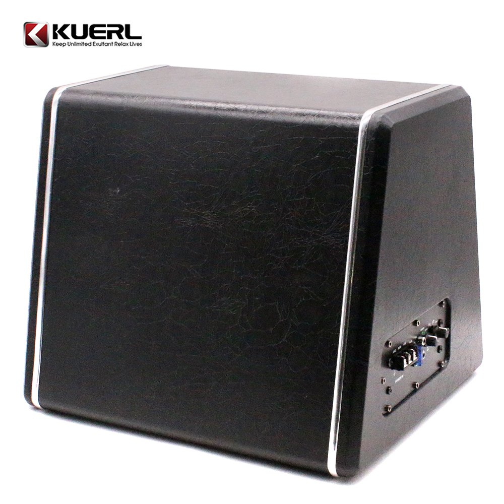 High Power Mega Bass 10 Inch Powered Subwoofer 90W Car Audio Amplifier Subwoofer
