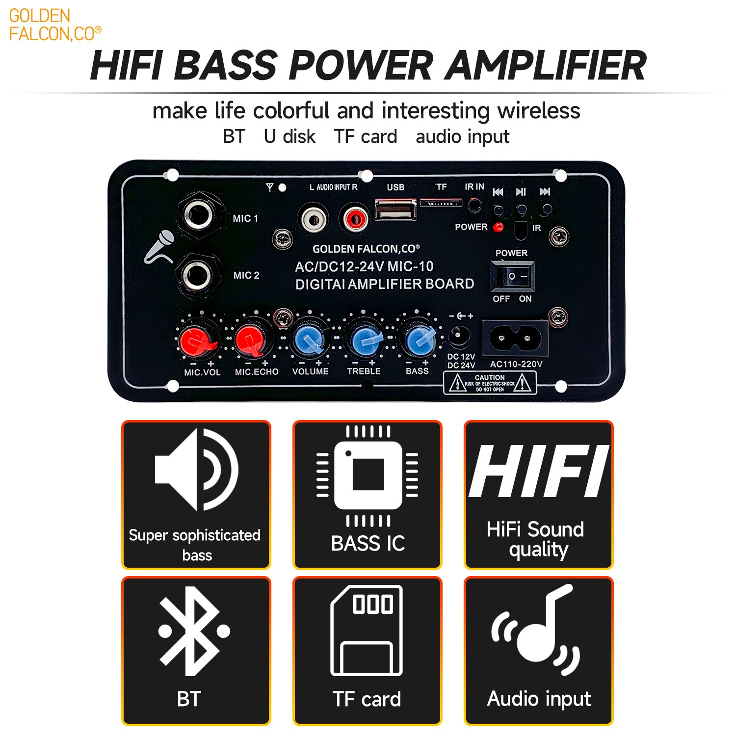Digital Amplifier Board with Microphone AC110-220V DC 12V 24V Car Power Amplifier BT Remote Control
