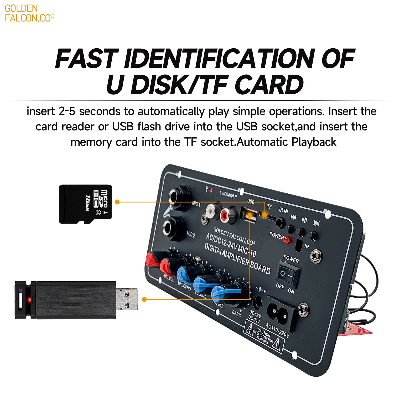 Digital Amplifier Board with Microphone AC110-220V DC 12V 24V Car Power Amplifier BT Remote Control