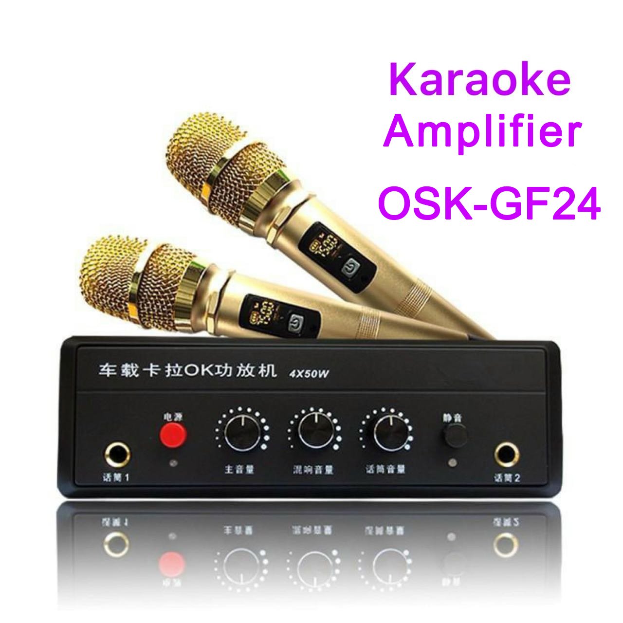 Car Karaoke Amplifier / Car Amplifier/ EW-Series / DJ-Series/4x30W, 24V with USB Charging, Can Output Power Supply 12V4A