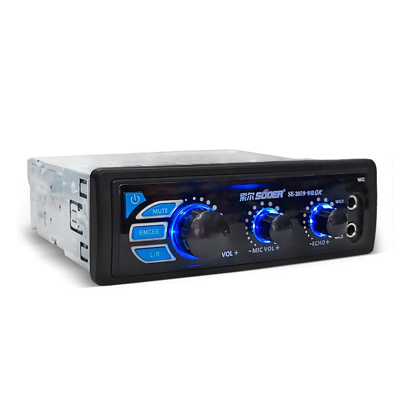 High Power Amplifier Karaoke with BT for Car Audio with Two Microphone Car High Definition Sound System