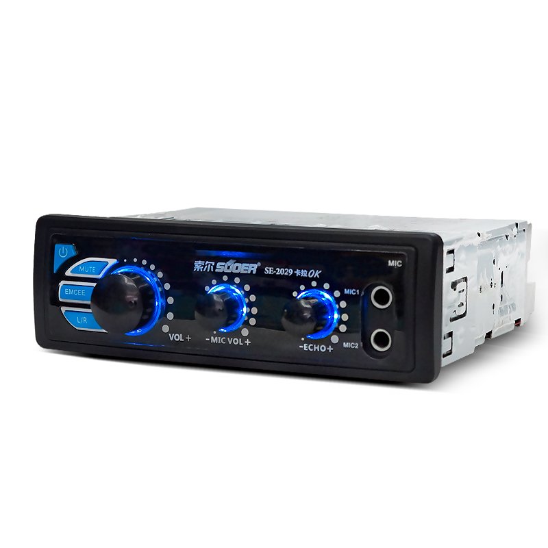 High Power Amplifier Karaoke with BT for Car Audio with Two Microphone Car High Definition Sound System