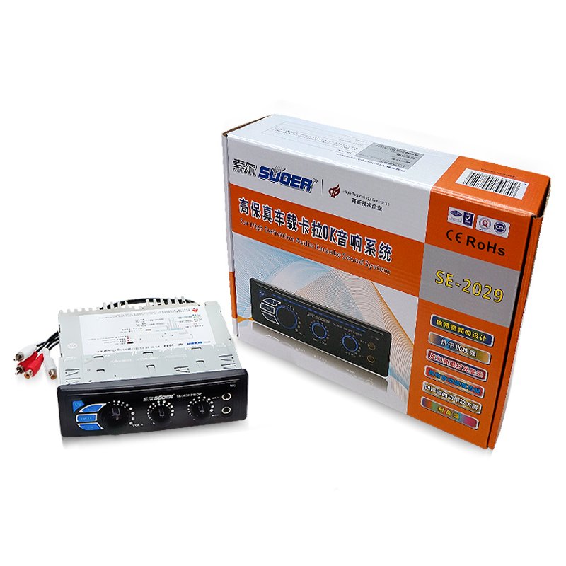 High Power Amplifier Karaoke with BT for Car Audio with Two Microphone Car High Definition Sound System