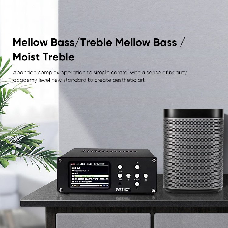 BRZHIFI Wholesale Remote Control Dual Core ES9038Q2M Lossless Audio Hifi Digital Amplifier Car CD Player