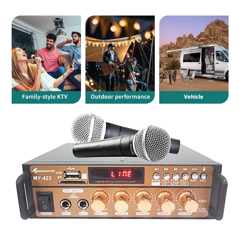 4 Ch Car Amplifiers Pro Big Power Microphone 12V Sterio Stereo Digital Desktop Home Amply Karaoke Amplifier for Recording Studio