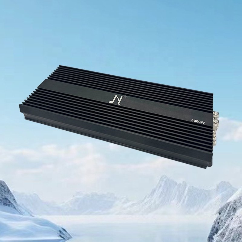 Popular Model Best Price 1~4 Ohm Mono Car Amplifier Big Power 3000W 1 Channel Class d Car Amplifier