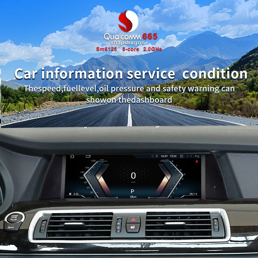 Wireless Carplay Android Auto Qualcomm 665 Car Digital Dashboard Multimedia Video Player Radio for BMW GT F07 5 Series 10.25inch