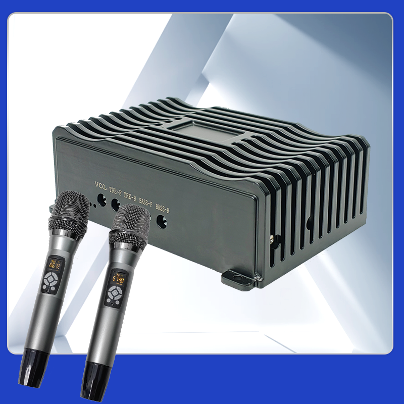 Bosstar Car Dsp Amplifier Box for Car Android Radio Mp5 System With Microphones BT Karaoke KTV Ai Voice Removal Functions