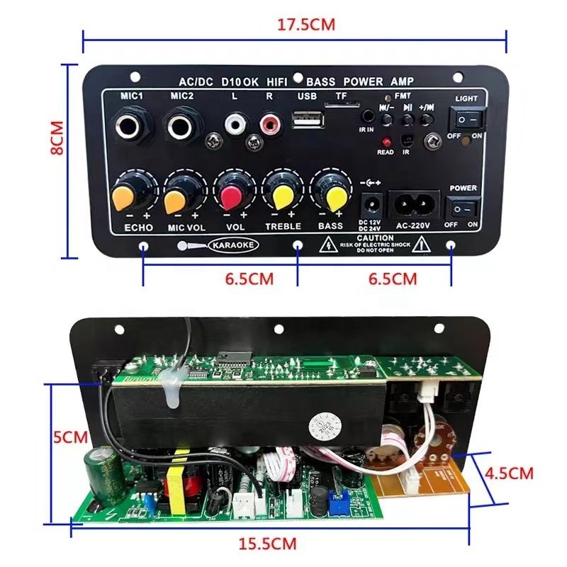 D10 BT Amplifier AC220V 12V 24V Mono Amplifier Subwoofer Board Dual Microphone Karaoke Amplifiers for 12" Subwoofer