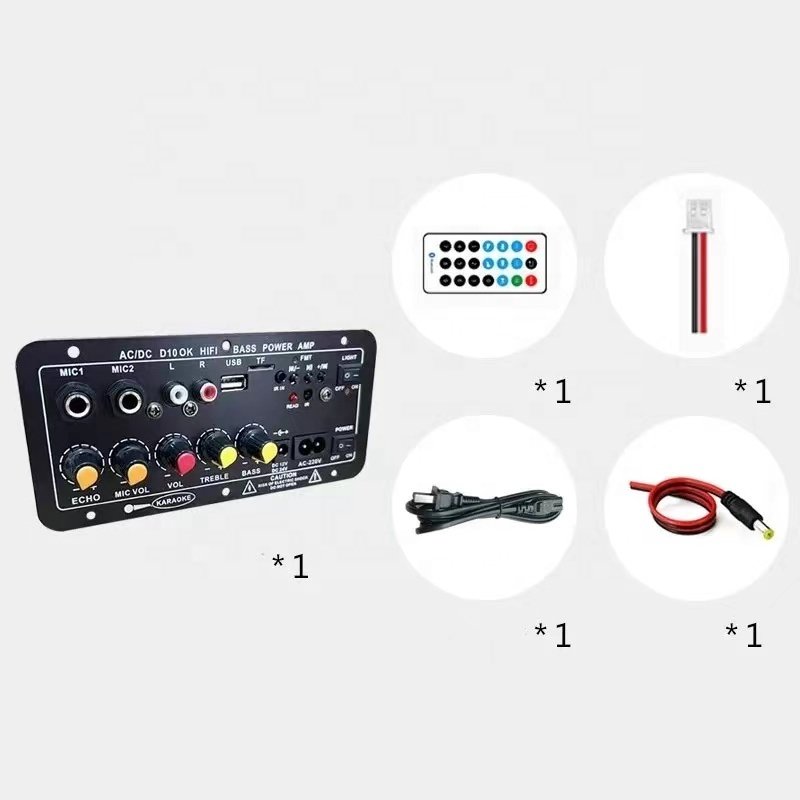 D10 BT Amplifier AC220V 12V 24V Mono Amplifier Subwoofer Board Dual Microphone Karaoke Amplifiers for 12" Subwoofer