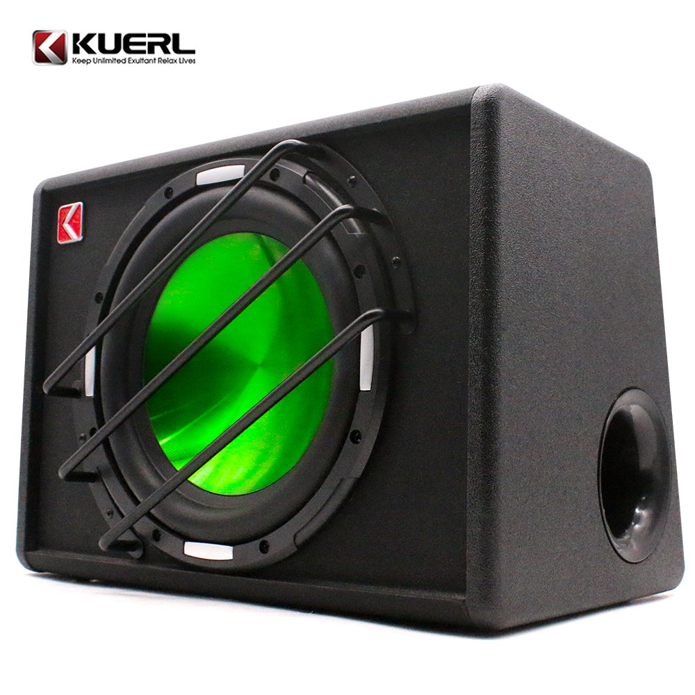 RMS120W Car Subwoofer Strong Car Speaker 10 Inch Subwoofer Built in Amplifier