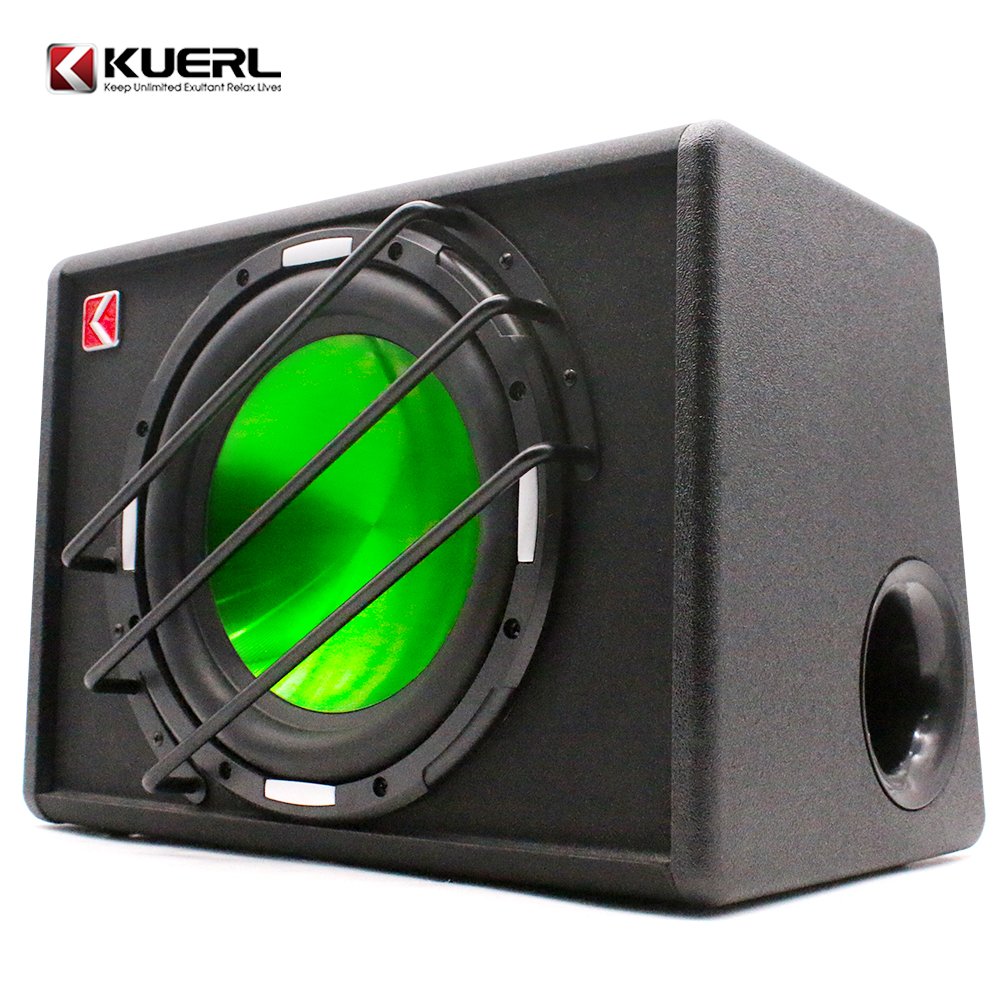 RMS120W Car Subwoofer Strong Car Speaker 10 Inch Subwoofer Built in Amplifier