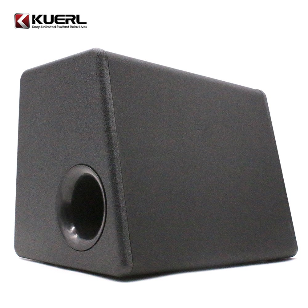 RMS120W Car Subwoofer Strong Car Speaker 10 Inch Subwoofer Built in Amplifier