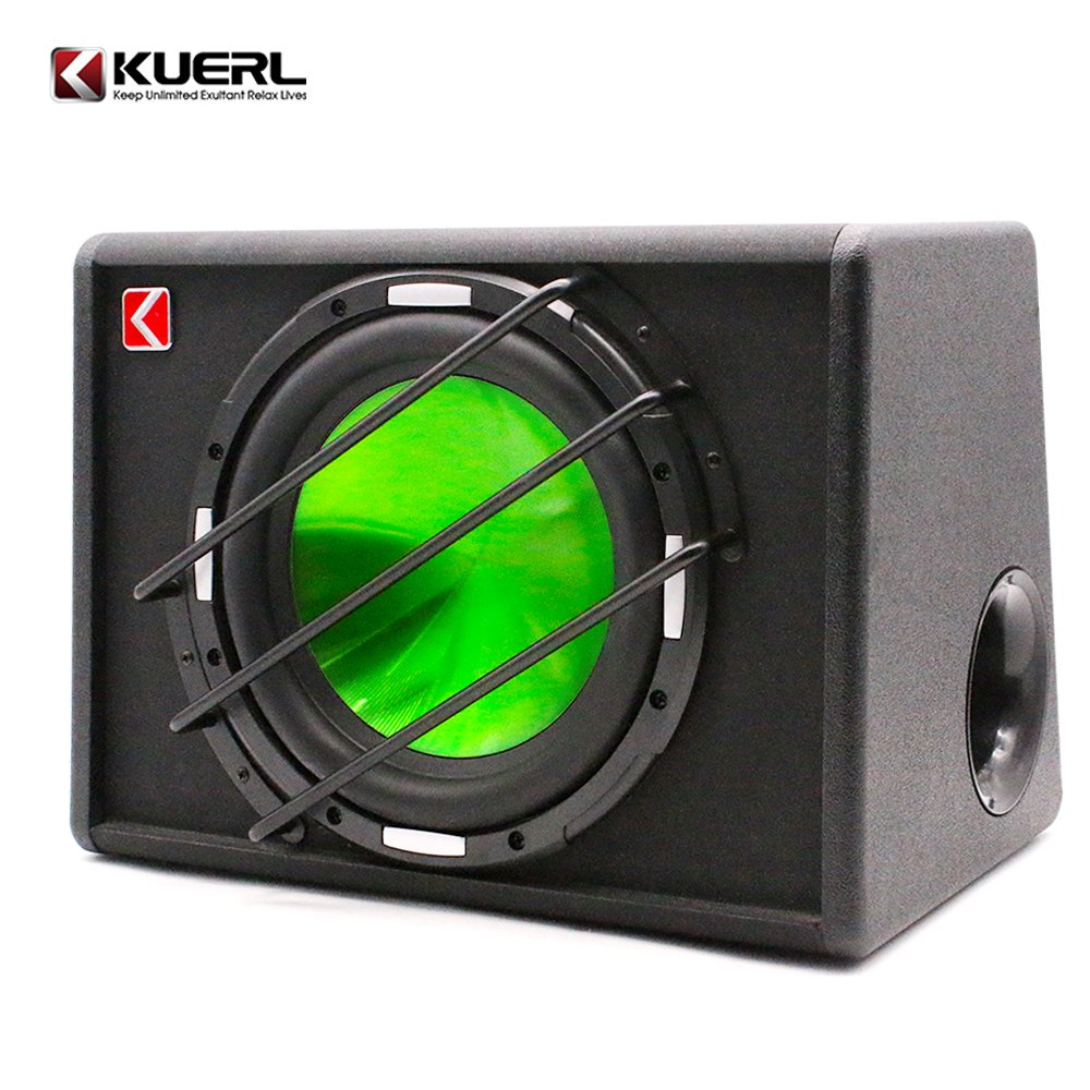 RMS120W Car Subwoofer Strong Car Speaker 10 Inch Subwoofer Built in Amplifier