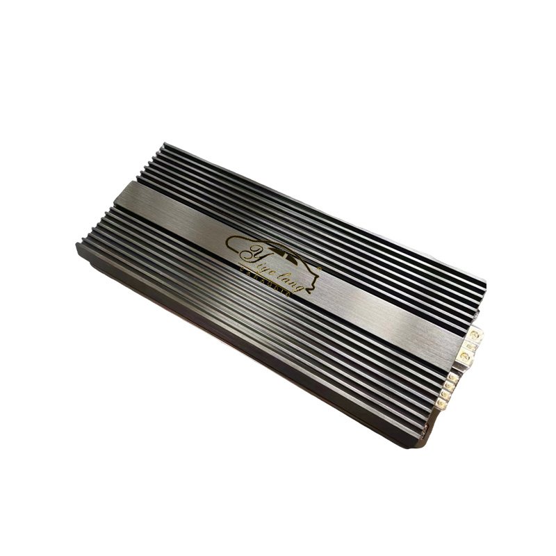 High Power Low Price 1 Channel 12V Mono Block Class D 3000W Car Amplifier