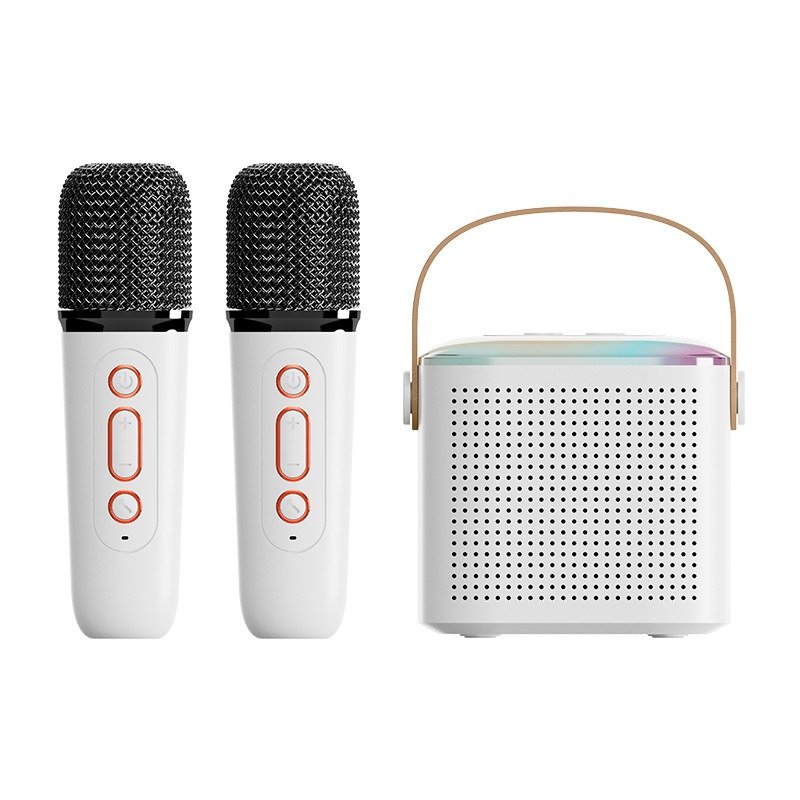 trending products black speakers & accessories with Dual Microphone Home Karaoke home theater sound system