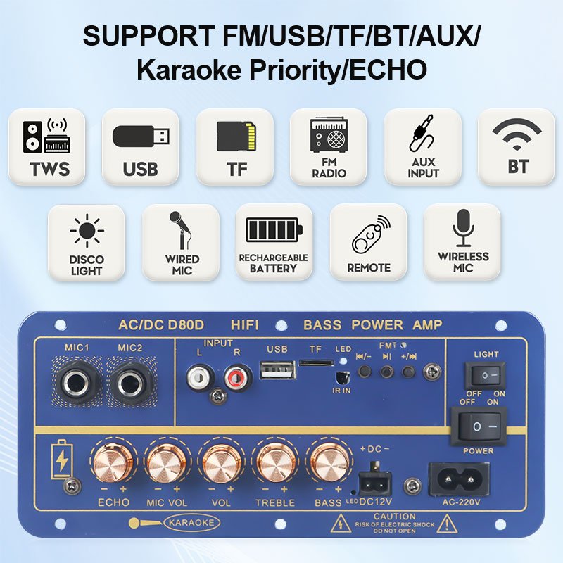 VIRE Bluetooth Power Amplifier 8-12inch Speaker Dual Microphone 110V 220V 12V 24V Subwoofer Audio 60W AMP Module