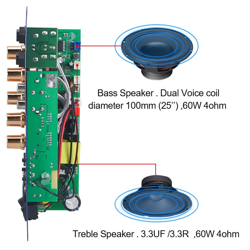 VIRE Bluetooth Power Amplifier 8-12inch Speaker Dual Microphone 110V 220V 12V 24V Subwoofer Audio 60W AMP Module