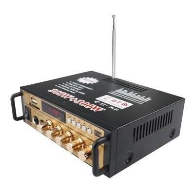 Mini Power Amplifier Speaker Card U disk receiver DC 12V 220V BT Power Amplifier
