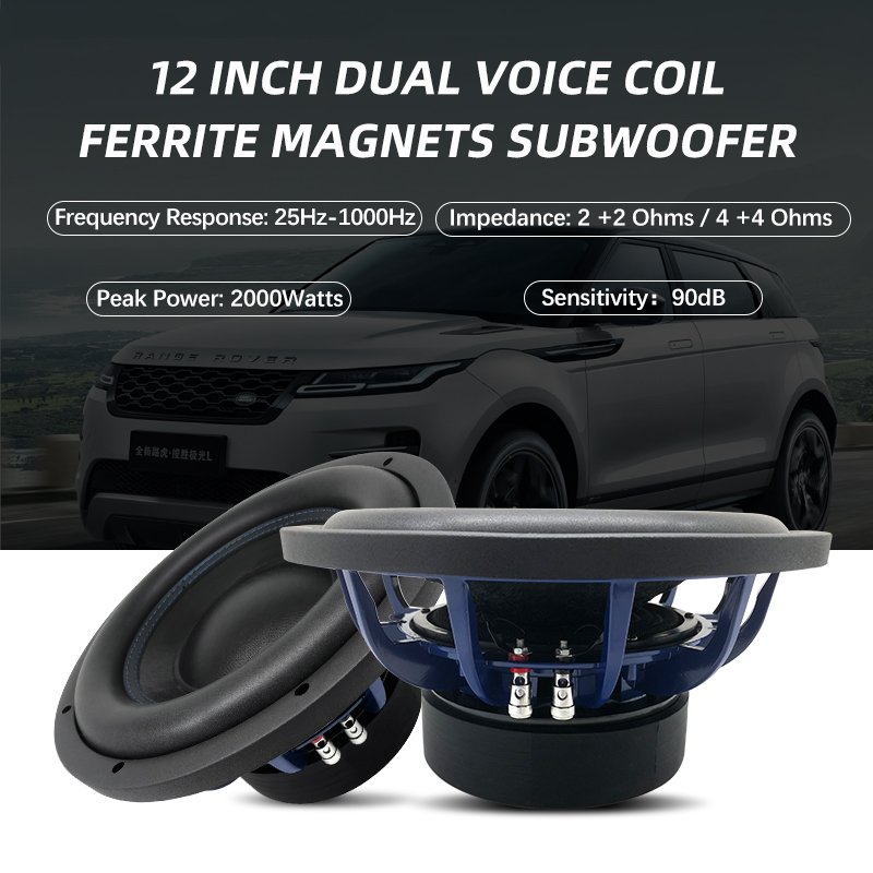 OEM Car Audio System With 15 Inch Subwoofer 200W 1000W 1500W RMS Power Dual Coil Model With 1 Year Warranty