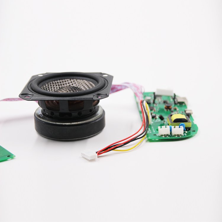 Free Provide Samples Wifi High Quality Car Full Range Audio Loudspeaker 3w 5w 10w 15w 20w with PCBA Amplifier