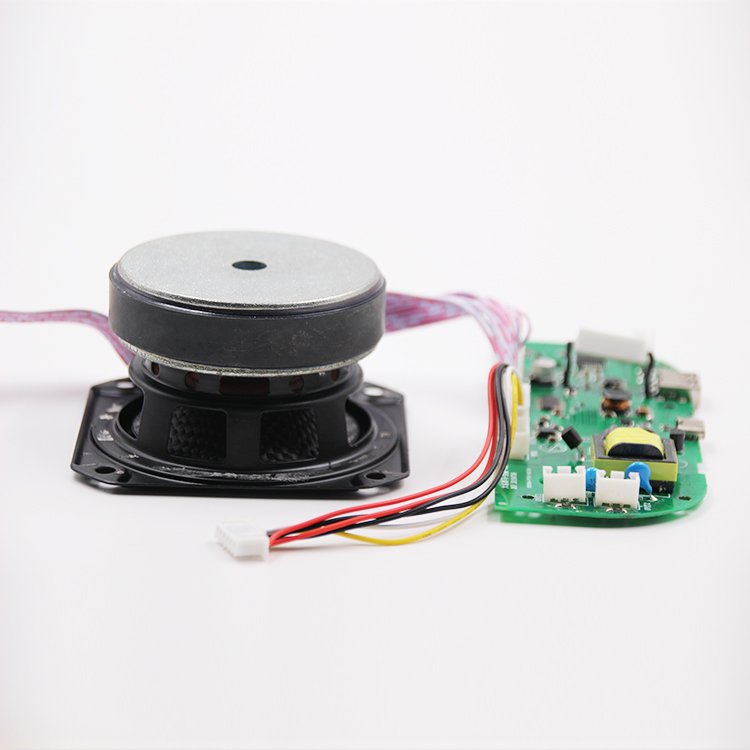 Free Provide Samples Wifi High Quality Car Full Range Audio Loudspeaker 3w 5w 10w 15w 20w with PCBA Amplifier