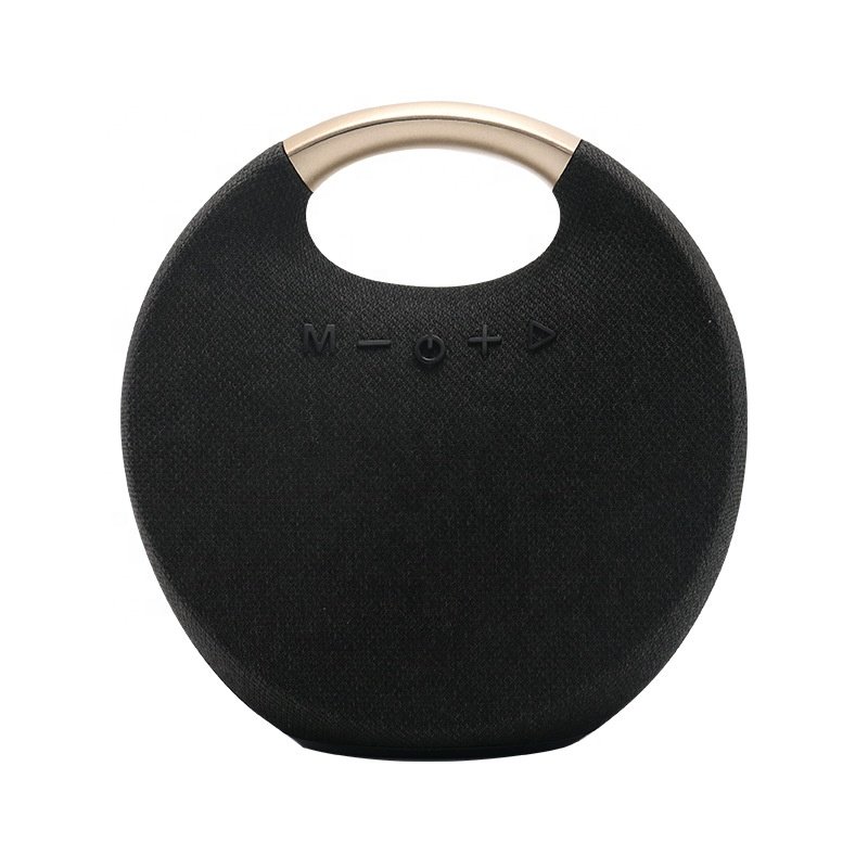 Dual Amplifier Speaker Beautiful Appearance With Portable Handle Wireless Bluetooth Speaker