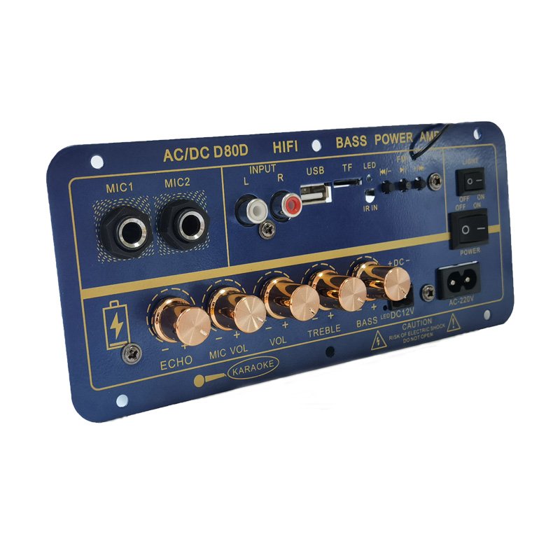 Professional 60W Rechargeable Mini Amplifier Receiver Outdoor Audio Sound System Bluetooth Digital Power Portable Cars