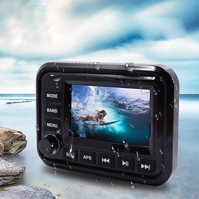 Professional 20 Years of Production IP66 Level Marine Audio System with 5" TFT Touch Screen H-303A