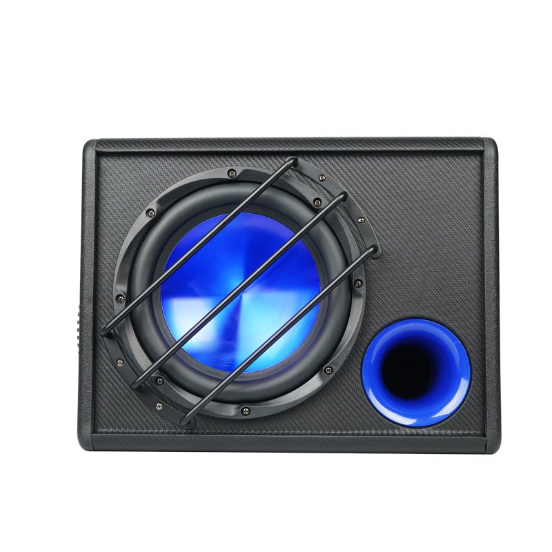 Hot Selling 1200W Subwoofer Car Speaker 10 Inch 12V Subwoofer Built-in Amplifier for Car