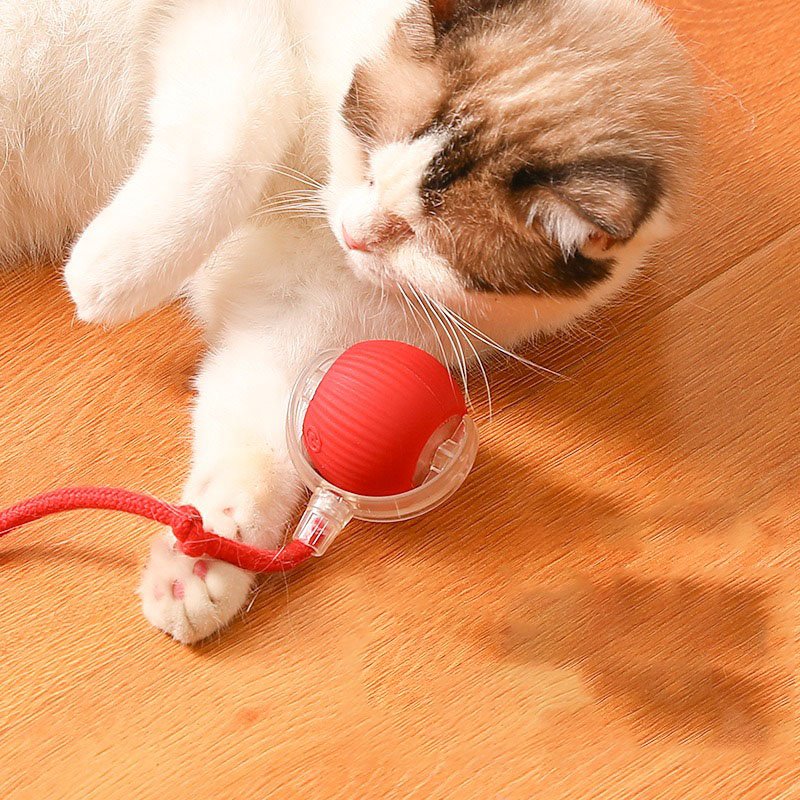 Joypet Pet Toy USB Charger Rubber Rolling Ball Eco-Friendly PC Material for Cats 360° Intelligent Automatic Interactive