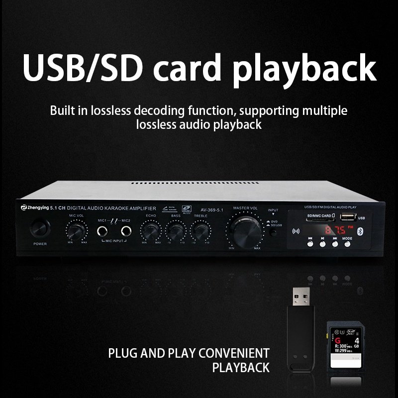 Hot Sales LDZS 5.1 Channel Ktv Home Theatre System 2 Mics Input Speaker Mixer Professional Audio Stereo Amplifiers