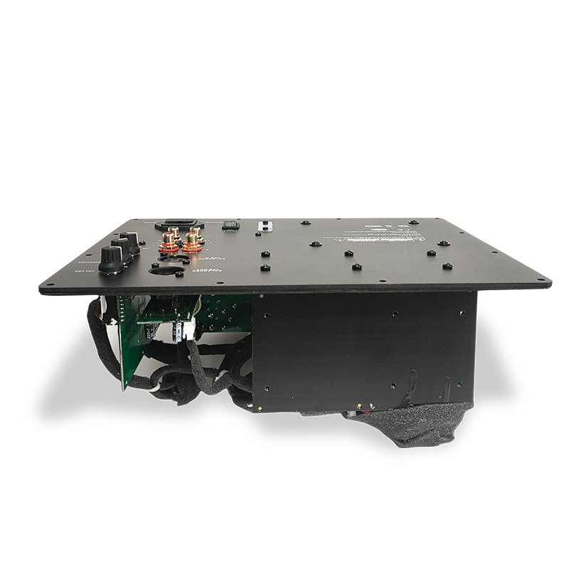 OEM/ODM 1000W Theater Audiophile Subwoofer Amplifier Board Subwoofer Plate Amp Mono Plate Amplifier