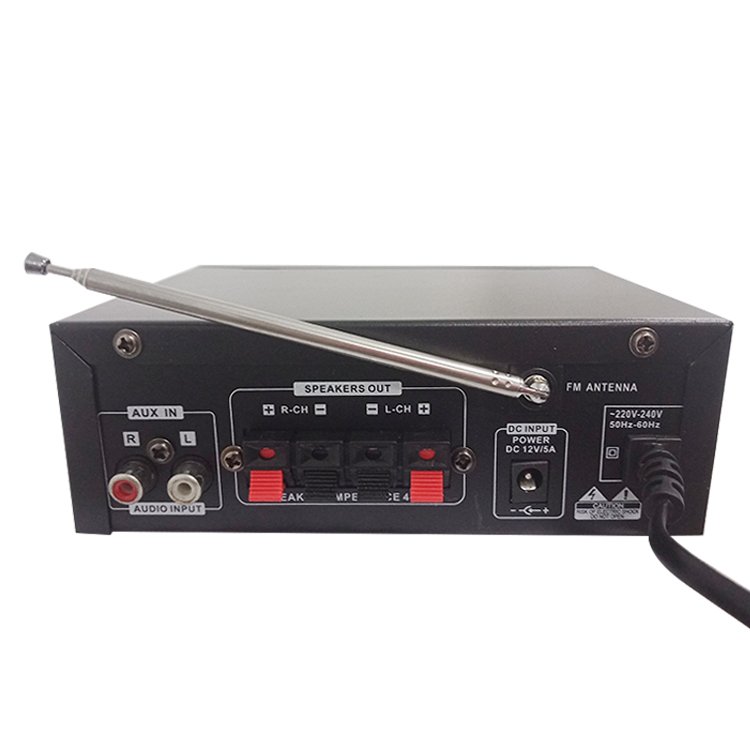 China Professional 2 Channel 220v/12v Power Mixer Amplifier for Car