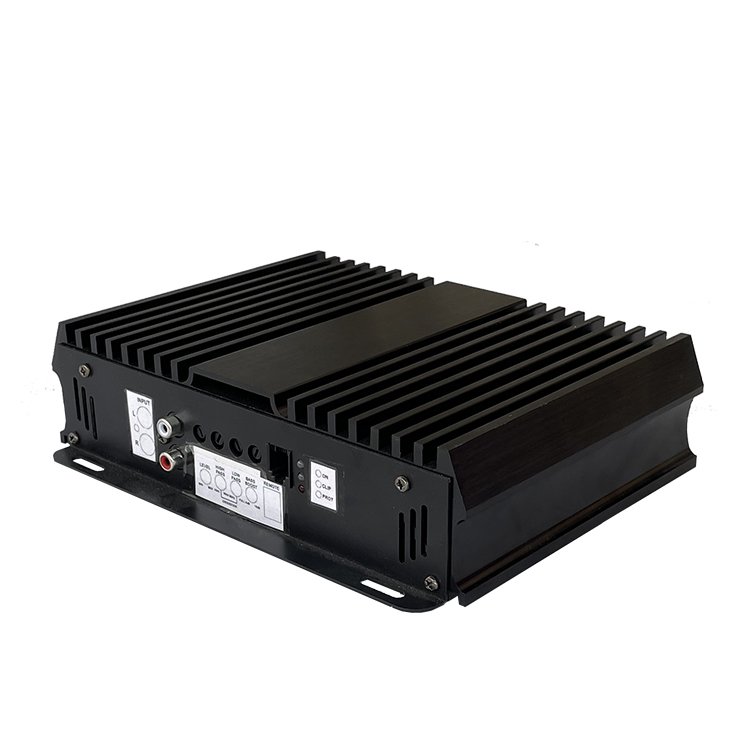 USA Market Mini Size Customized Support RMS 1000W Monoblock Full Range Class D Latest Professional Sound Mini Car Amplifier